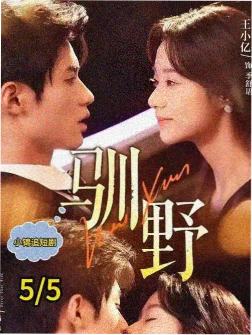 春日慢递 2026热播电视剧免费看